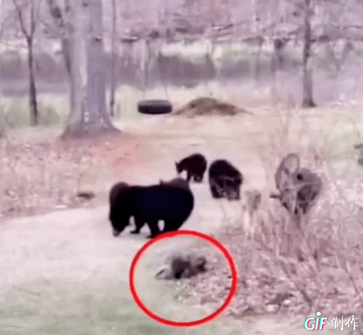 主城低密墅區(qū) 躺贏 式產品,真難超越