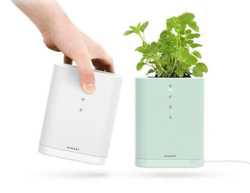 2020年設(shè)計流行話題 人與自然