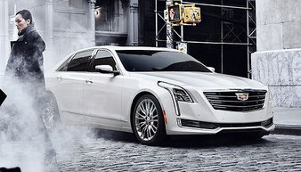 界 鑒 2015風(fēng)云 界面癮擎年度汽車評(píng)選 慎入 史上最長(zhǎng)