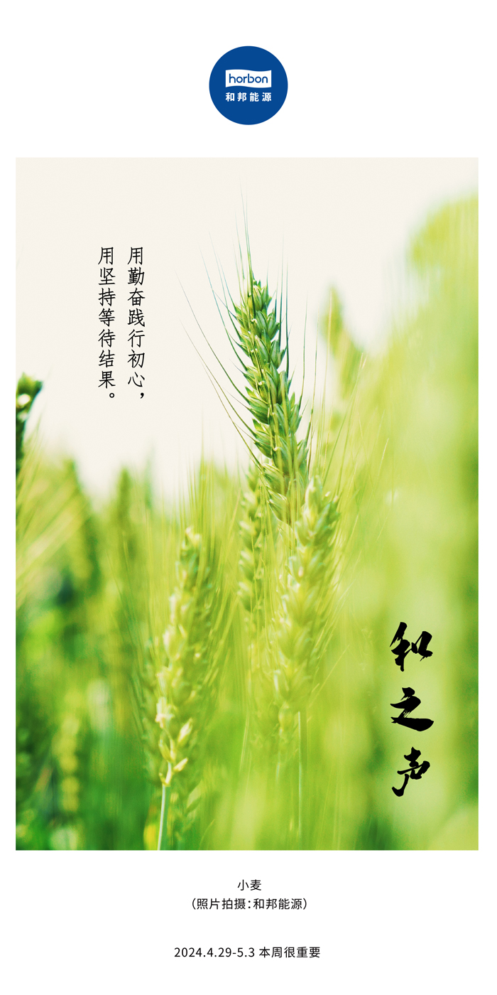 【和之声】用勤劳践行初心，，，，，用坚持期待效果。。。。（总第132期）2024.4.29-5中文改小季度推送用.jpg